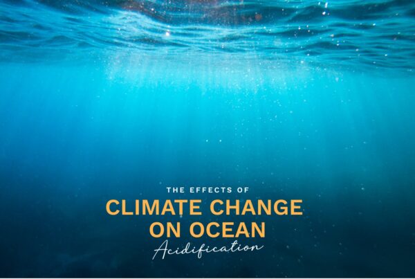 Prime Luxury Rentals - The Effects of Climate Change on Ocean Acidification