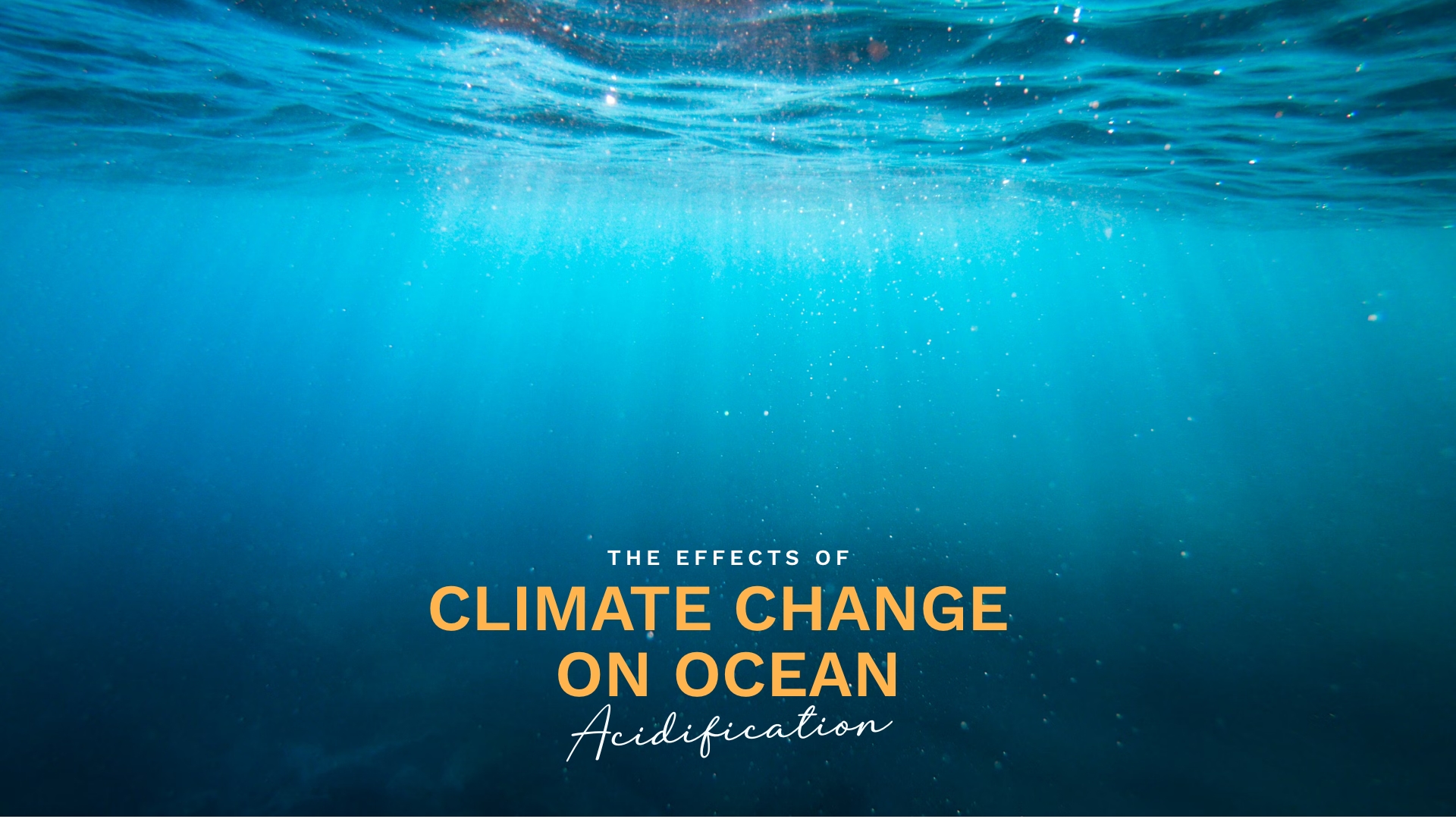 Prime Luxury Rentals - The Effects of Climate Change on Ocean Acidification