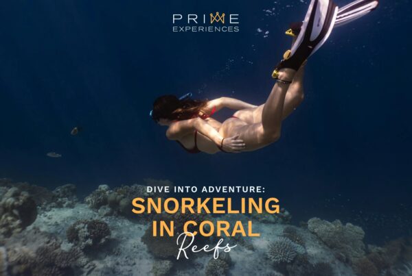 ocean conservation through snorkeling experiences.