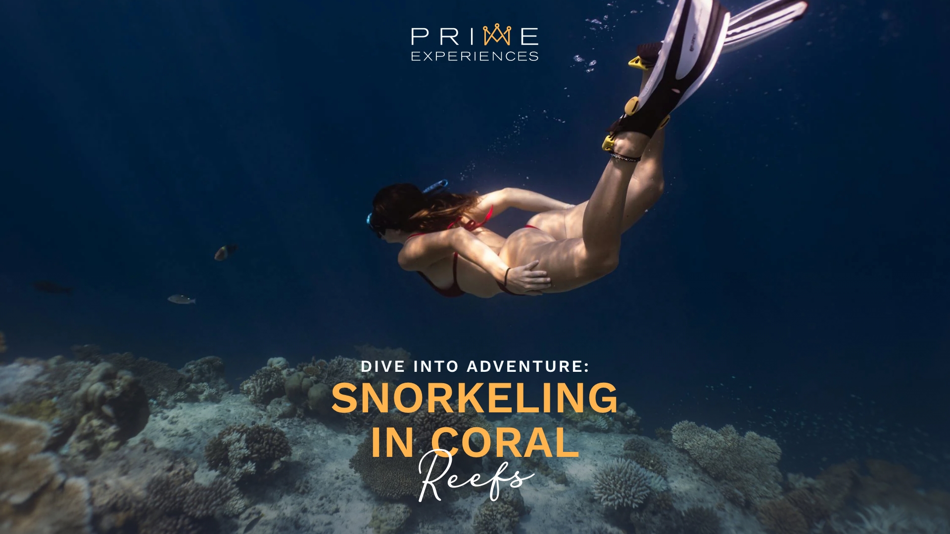 ocean conservation through snorkeling experiences.